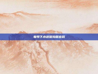 羞辱下水道保险箱密码