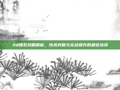 Ad锤石攻略解析，技术突破与实战提升的最佳选择