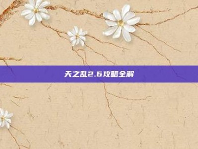 天之乱2.6攻略全解