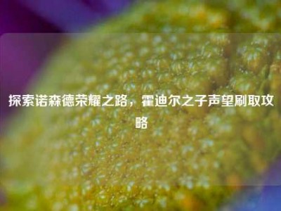 探索诺森德荣耀之路，霍迪尔之子声望刷取攻略