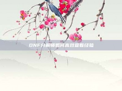 DNF分解师如何高效查看经验