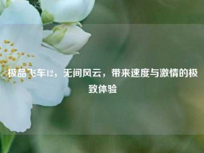 极品飞车12，无间风云，带来速度与激情的极致体验