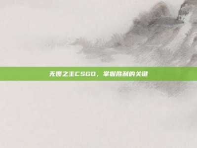 无畏之主CSGO，掌握胜利的关键