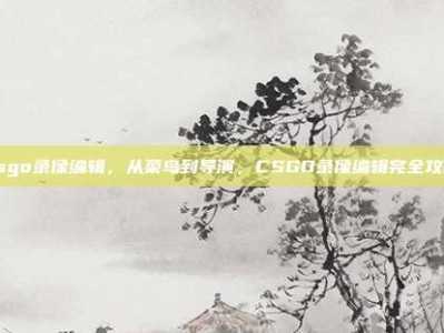 csgo录像编辑，从菜鸟到导演，CSGO录像编辑完全攻略