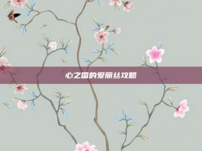心之国的爱丽丝攻略