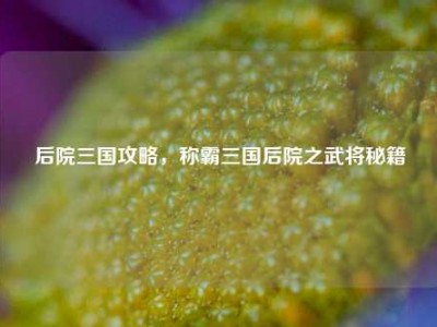 后院三国攻略，称霸三国后院之武将秘籍