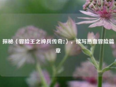 探秘〈冒险王之神兵传奇2〉，续写热血冒险篇章