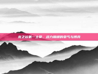 龙之谷第一土豪，战力巅峰的豪气与博弈