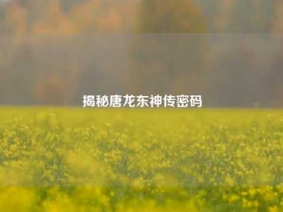 揭秘唐龙东神传密码