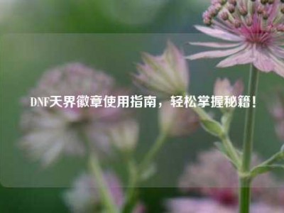 DNF天界徽章使用指南，轻松掌握秘籍！