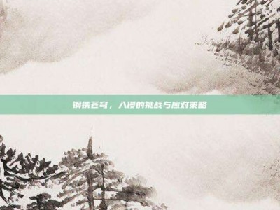 钢铁苍穹，入侵的挑战与应对策略