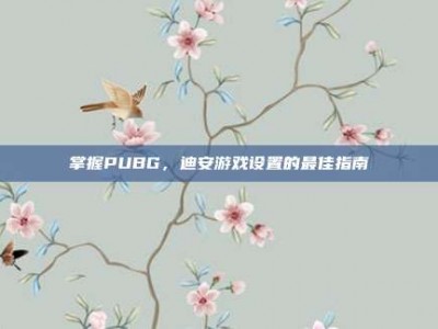 掌握PUBG，迪安游戏设置的最佳指南