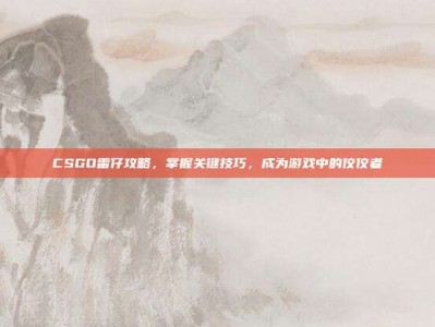 CSGO雷仔攻略，掌握关键技巧，成为游戏中的佼佼者
