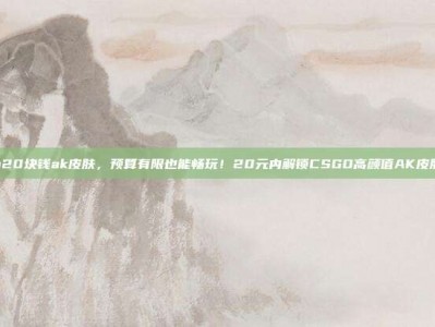 csgo20块钱ak皮肤，预算有限也能畅玩！20元内解锁CSGO高颜值AK皮肤攻略