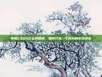 掌握CSGO公会的精髓，如何打造一个成功的游戏团队