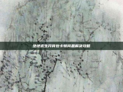 绝地求生开背包卡顿问题解决攻略