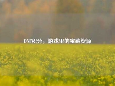 DNF积分，游戏里的宝藏资源