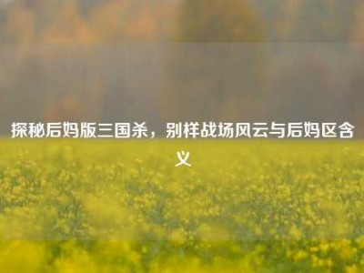 探秘后妈版三国杀，别样战场风云与后妈区含义