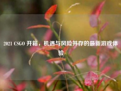 2021 CSGO 开箱，机遇与风险并存的最新游戏体验