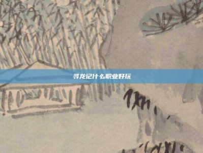 寻龙记什么职业好玩