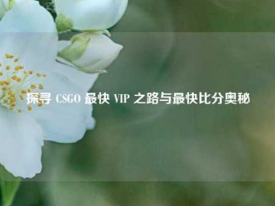探寻 CSGO 最快 VIP 之路与最快比分奥秘