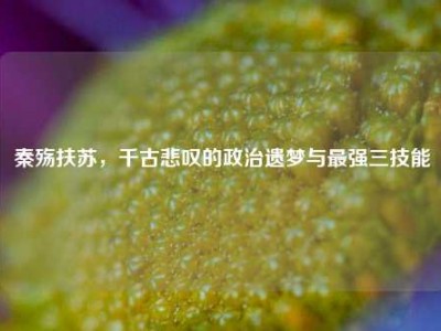 秦殇扶苏，千古悲叹的政治遗梦与最强三技能