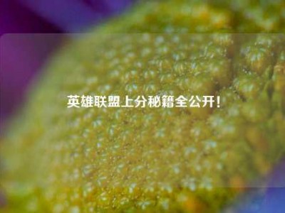 英雄联盟上分秘籍全公开！