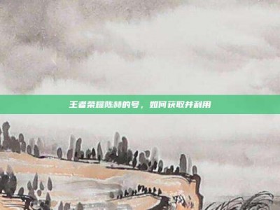 王者荣耀陈赫的号，如何获取并利用