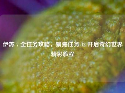 伊苏 7 全任务攻略，聚焦任务 12 开启奇幻世界精彩旅程
