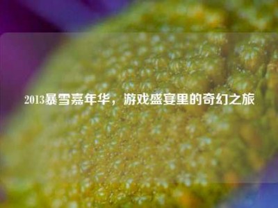 2013暴雪嘉年华，游戏盛宴里的奇幻之旅