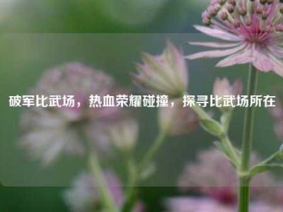 破军比武场，热血荣耀碰撞，探寻比武场所在