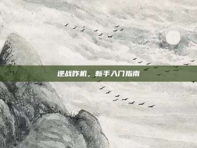 逆战咋机，新手入门指南
