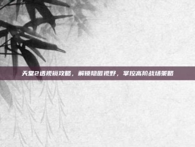 天堂2透视镜攻略，解锁隐匿视野，掌控高阶战场策略