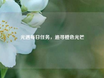 光遇每日任务，追寻橙色光芒