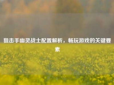 狙击手幽灵战士配置解析，畅玩游戏的关键要素