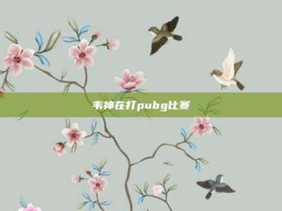 韦神在打pubg比赛