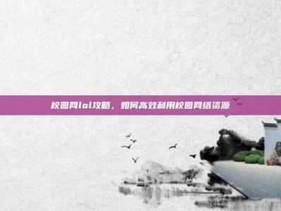 校园网lol攻略，如何高效利用校园网络资源