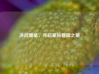 决战喵星，开启星际冒险之旅