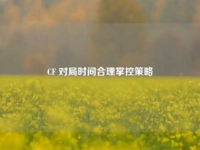 CF 对局时间合理掌控策略