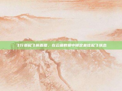飞行员起飞前直播，在云端数据中锁定最佳起飞状态