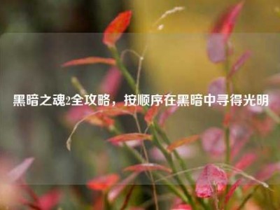 黑暗之魂2全攻略，按顺序在黑暗中寻得光明