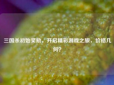 三国杀初始奖励，开启精彩游戏之旅，价格几何？