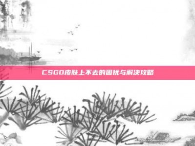 CSGO皮肤上不去的困扰与解决攻略