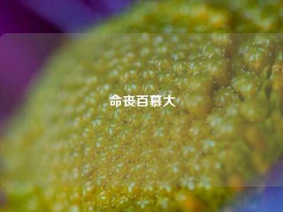 命丧百慕大