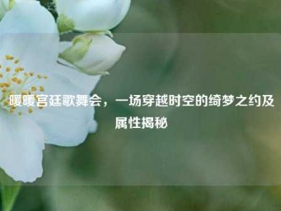 暖暖宫廷歌舞会，一场穿越时空的绮梦之约及属性揭秘