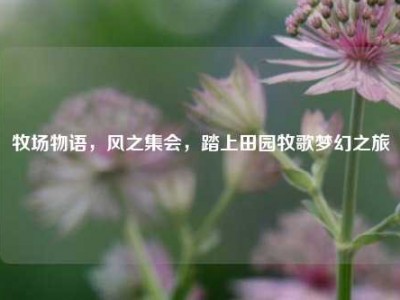 牧场物语，风之集会，踏上田园牧歌梦幻之旅