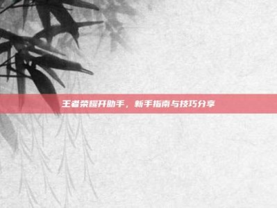 王者荣耀开助手，新手指南与技巧分享