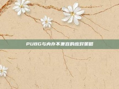 PUBG与内存不兼容的应对策略