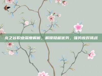 龙之谷职业深度解析，解锁隐藏优势，强势应对挑战