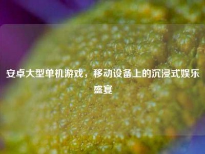 安卓大型单机游戏，移动设备上的沉浸式娱乐盛宴